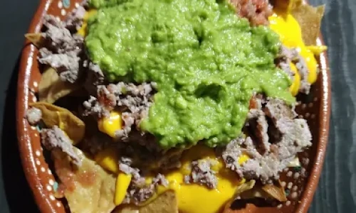 el xolo tacos en guadalajara